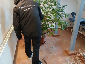 Bild på en person vid en växt inomhus.