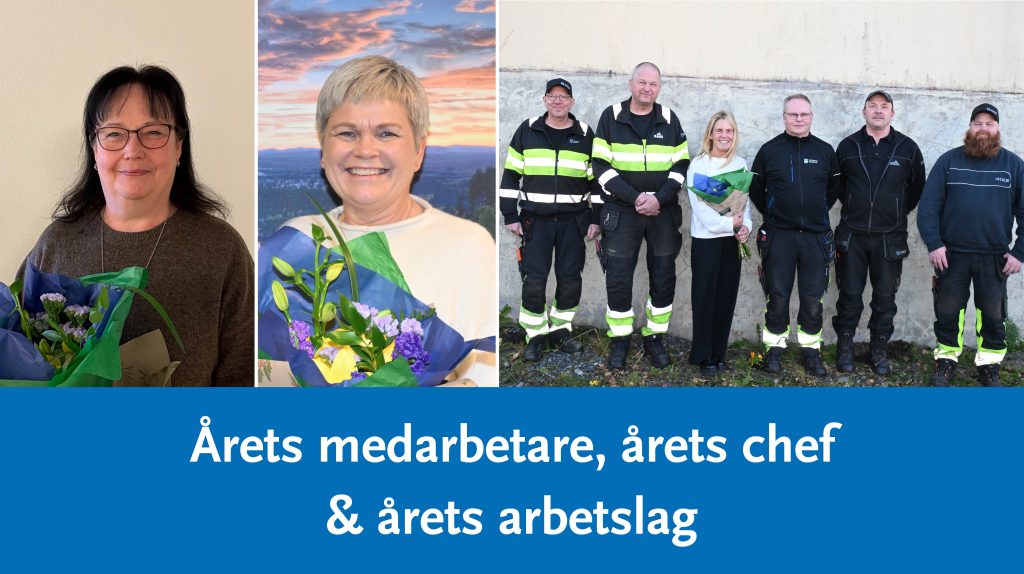 Årets medarbetare, årets chef och årets arbetslag.